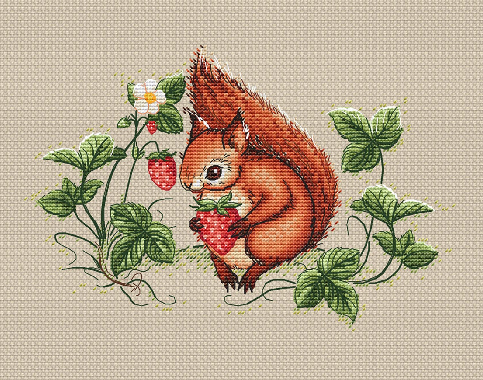 Схемы вышивки белки. Вышивка крестиком Белочка. Вышить белочку. Вышивка "белка". Вышивка крестом белка маленькая.