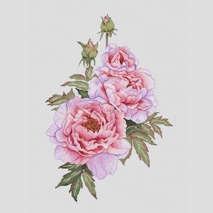 Pink roses cross stitch pattern beautiful flowers cross stitch pattern roses ornament cross stitch tender rose cross stitch pattern