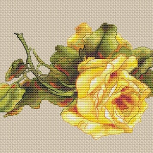 Yellow rose cross stitch pattern