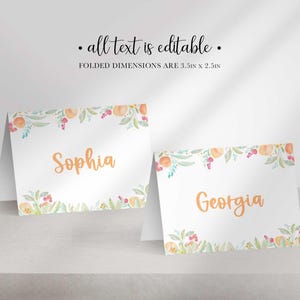 Two folded white paper place cards with watercolor peach borders display the names Sophia and Georgia in orange font.
