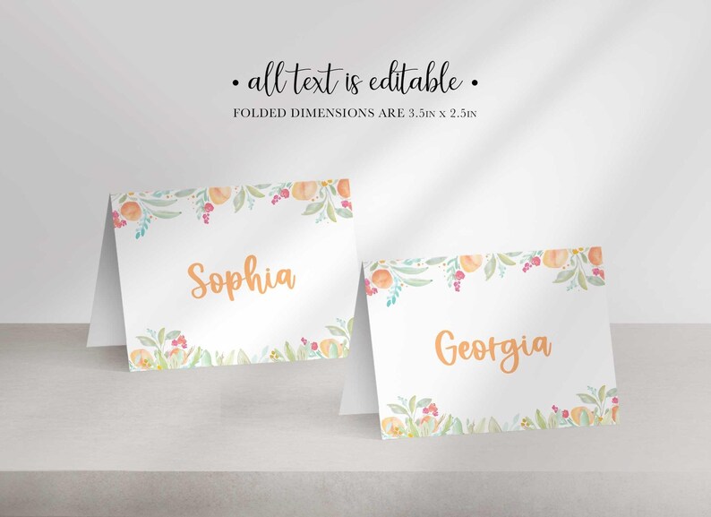 Two folded white paper place cards with watercolor peach borders display the names Sophia and Georgia in orange font.