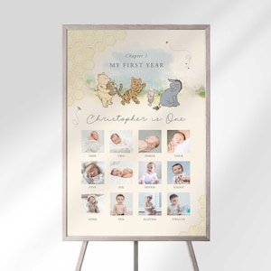 1. Geburtstag Foto Meilensteintafel von Pooh Bär: Monatliche Andenken (Digitaler Download)
