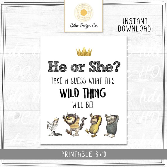 He Or She What Will It Be Sign Where The Wild Things Are Etsy