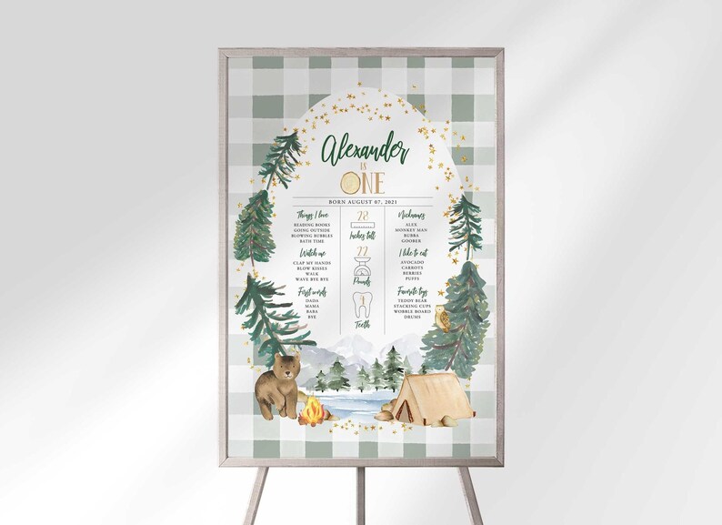 Framed Alexander is ONE milestone sign on an easel, showing the sage plaid woodland camping design styled for display.