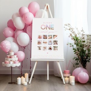 One Sweet Year Milestone Chart