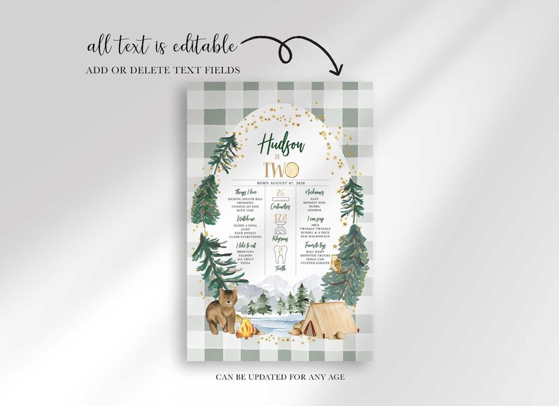 Graphic reading all text is editable, add or delete text fields, can be updated for any age, shown here as Hudson is TWO with different stats and favorites to demonstrate the sign's flexibility.