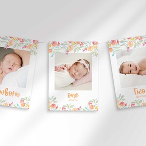 Banner de fotos de hitos mensuales "Dulce como un melocotón" / Recién nacido a 12 meses / Banner de fotos de hitos editables / Banner de descarga digital