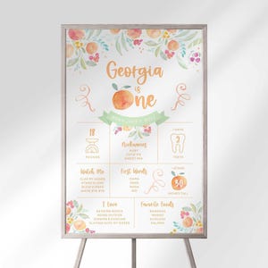 Peach Floral erster Geburtstag Meilensteintafel: 1.Jahres-Diagramm (Digitaler Download)