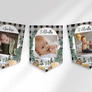 Camper First Birthday Milestone Photo Banner for Instant Download to Print Yourself | Newborn to 12 Months Monthly Photo Banner Buffalo