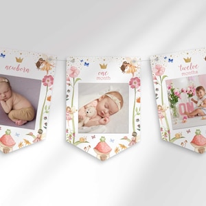 Fairy First Birthday Monthly Photo Banner | Newborn to 12 Months | Instant Digital Download | Printable Months Banner