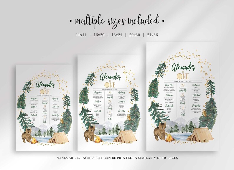 Multiple sizes included graphic showing three scaled versions of the Alexander is ONE sign (11x14, 16x20, 18x24, 20x30, 24x36) with a note that sizes are listed in inches but can be printed at similar metric sizes.