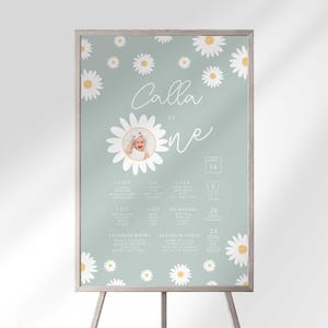 Modèle de graphique modifiable pour le 1er anniversaire de Daisy Téléchargement immédiat | Modifiez vous-même puis imprimez, tableau des jalons Daisy First | Marguerite sauge