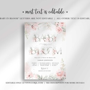 editable baby in bloom shower invitation