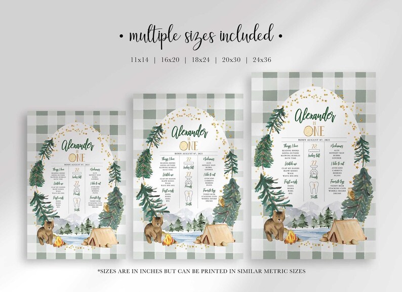 Multiple sizes included graphic showing three scaled versions of the Alexander is ONE sign (11x14, 16x20, 18x24, 20x30, 24x36) with a note that sizes are listed in inches but can be printed at similar metric sizes.