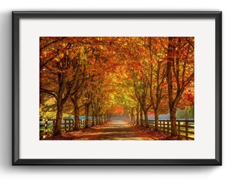 Autographed Autumn Landscape Photo Print: Seattle Fall Foliage