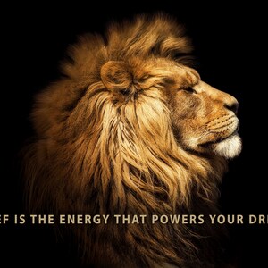 Pode incluir: Um close-up da cabe&ccedil;a e juba de um le&atilde;o contra um fundo preto. O le&atilde;o tem os olhos fechados e a boca ligeiramente aberta. O texto "BELIEF IS THE ENERGY THAT POWERS YOUR DREAMS" est&aacute; escrito abaixo do le&atilde;o.