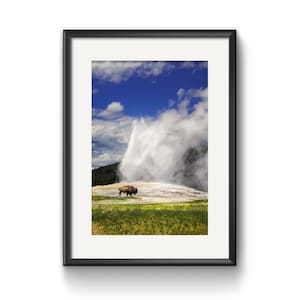 Fotoprint van bizons in Yellowstone en Old Faithful, wanddecoratie met afbeeldingen van wilde dieren in Wyoming.