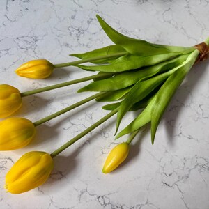 May include: A bouquet of yellow tulips with green stems and leaves. The flowers are tied together with a brown twine. The background is a white and gray marble pattern.