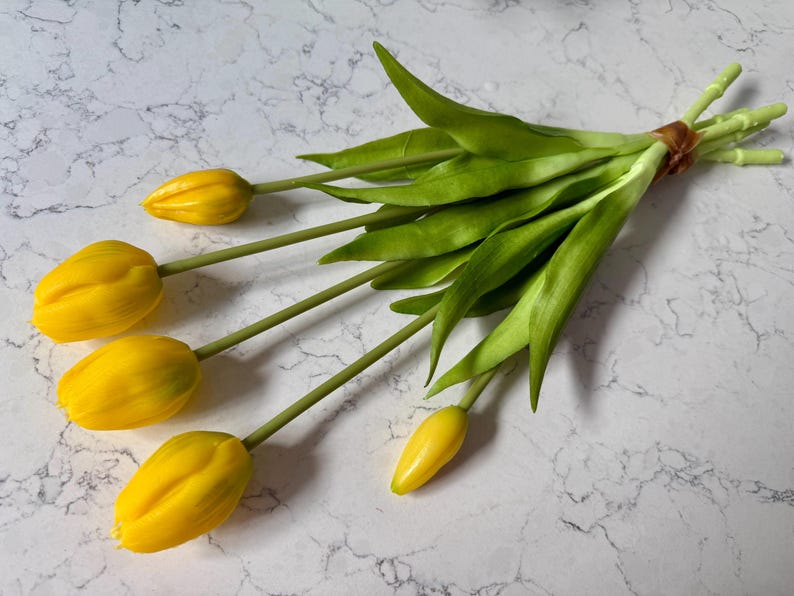 May include: A bouquet of yellow tulips with green stems and leaves. The flowers are tied together with a brown twine. The background is a white and gray marble pattern.