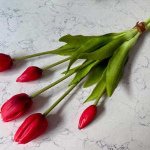 May include: A bouquet of red tulips with green stems and leaves, tied together with a brown twine. The vibrant red petals contrast with the green foliage, creating a fresh and natural aesthetic. The flowers are arranged on a white marble surface.