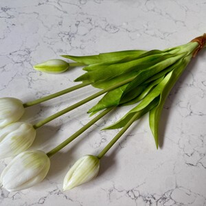 May include: A bundle of white tulips with green stems and leaves, tied together with a brown twine. The flowers are in various stages of bloom, with some buds still closed. The background is a white and gray marble-patterned surface.