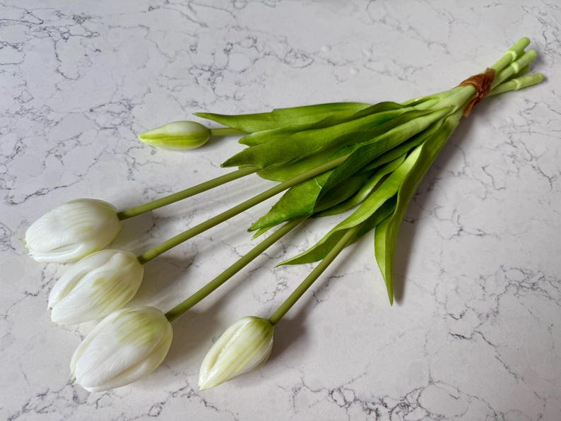 May include: A bundle of white tulips with green stems and leaves, tied together with a brown twine. The flowers are in various stages of bloom, with some buds still closed. The background is a white and gray marble-patterned surface.