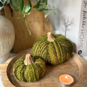 Green Boucle Pumpkin with Wooden Stem: Two sizes available, Cottage Decor