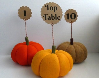 Pumpkin Wedding Table Centres,Wedding Table, Autumnal Fall wedding favour Autumn,Thanksgiving Decoration,Halloween Decorations,MADE TO ORDER