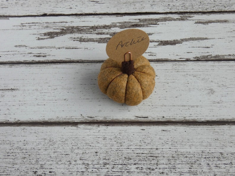 Pumpkin Place setting, Autumnal Fall wedding favour Autumn, Thanksgiving Decoration, Halloween Decorations, MADE TO ORDER image 4