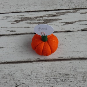 Pumpkin Place setting, Autumnal Fall wedding favour Autumn, Thanksgiving Decoration, Halloween Decorations, MADE TO ORDER image 9