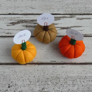 Pumpkin Place setting, Autumnal Fall wedding favour Autumn, Thanksgiving Decoration, Halloween Decorations, MADE TO ORDER image 7