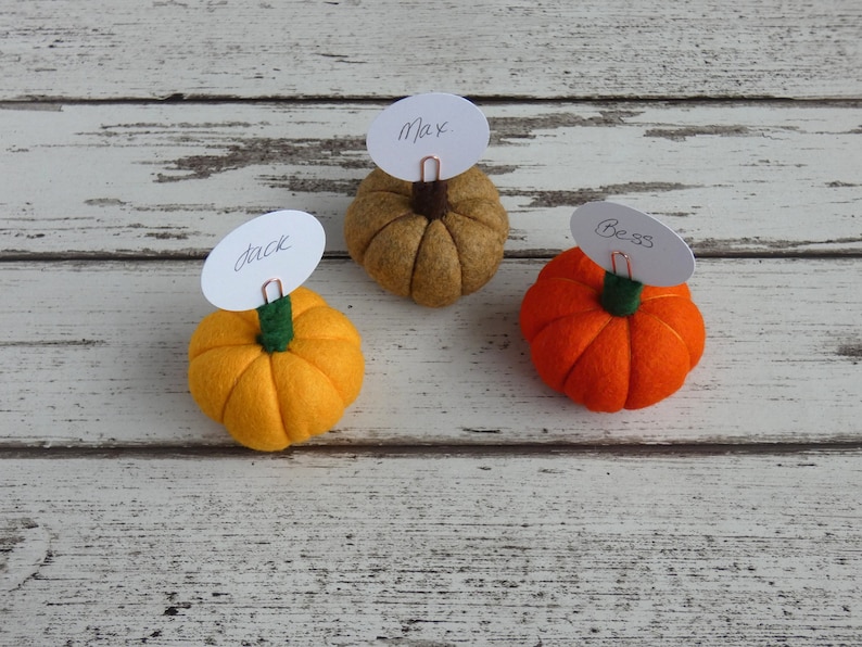 Pumpkin Place setting, Autumnal Fall wedding favour Autumn, Thanksgiving Decoration, Halloween Decorations, MADE TO ORDER image 7