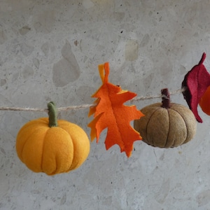Pumpkin Garland, Autumnal, Fall Garland, Autumnal Bunting, Thanks Giving Garland, Autumnal Decoration, Fall Decoration, MADE TO ORDER image 3