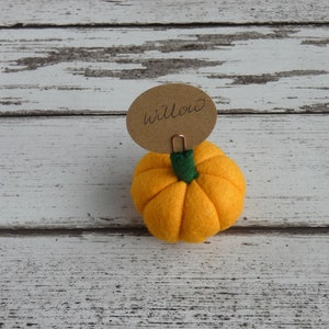 Pumpkin Place setting, Autumnal Fall wedding favour Autumn, Thanksgiving Decoration, Halloween Decorations, MADE TO ORDER image 5