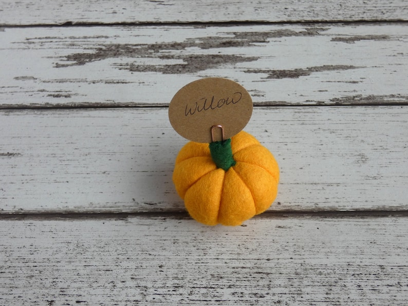 Pumpkin Place setting, Autumnal Fall wedding favour Autumn, Thanksgiving Decoration, Halloween Decorations, MADE TO ORDER image 5