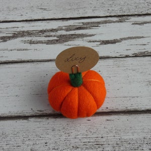 Pumpkin Place setting, Autumnal Fall wedding favour Autumn, Thanksgiving Decoration, Halloween Decorations, MADE TO ORDER image 6