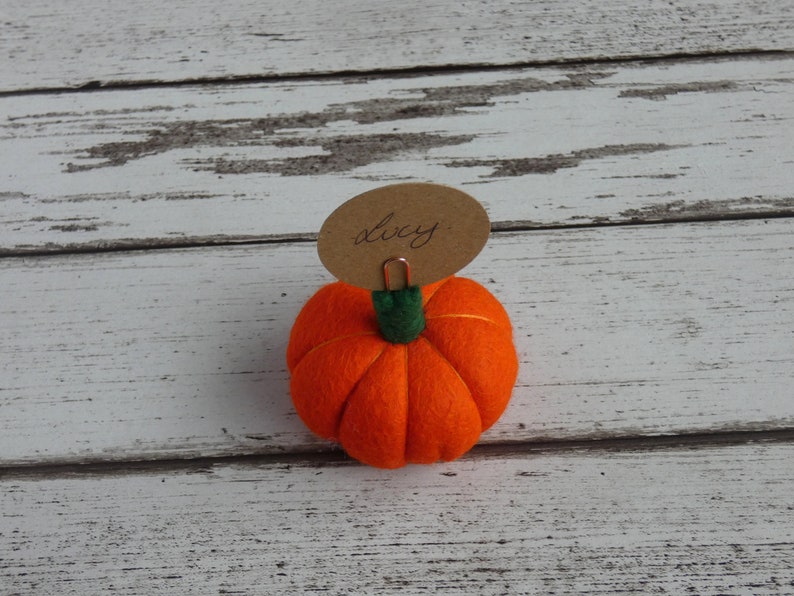 Pumpkin Place setting, Autumnal Fall wedding favour Autumn, Thanksgiving Decoration, Halloween Decorations, MADE TO ORDER image 6