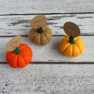 Pumpkin Place setting, Autumnal Fall wedding favour Autumn, Thanksgiving Decoration, Halloween Decorations, MADE TO ORDER image 3