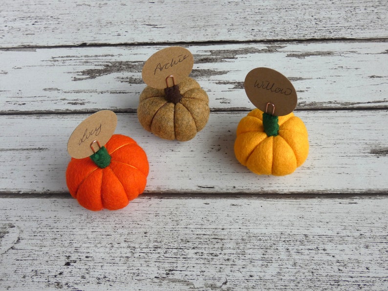 Pumpkin Place setting, Autumnal Fall wedding favour Autumn, Thanksgiving Decoration, Halloween Decorations, MADE TO ORDER image 3