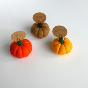 Pumpkin Place setting, Autumnal Fall wedding favour Autumn, Thanksgiving Decoration, Halloween Decorations, MADE TO ORDER