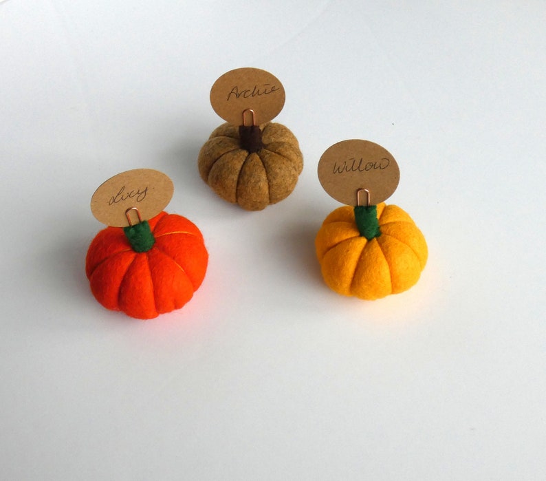 Pumpkin Place setting, Autumnal Fall wedding favour Autumn, Thanksgiving Decoration, Halloween Decorations, MADE TO ORDER image 1