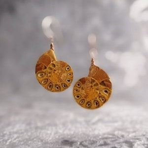 Natural Ammonite Fossil Earrings Rose Gold Earrings Crystal Earrings, Natural Stone Earrings, Healing Earrings