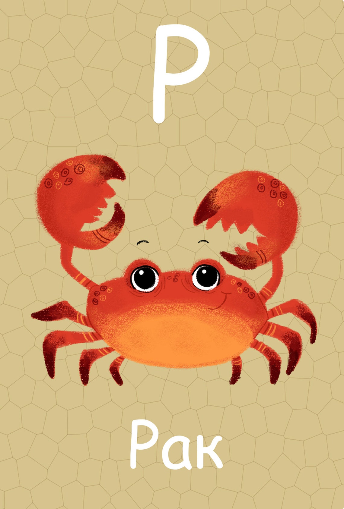 Macedonian Alphabet Flash Cards Macedonian Nursery Decor ...