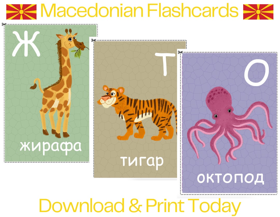 COLORFUL Macedonian Alphabet Flash Cards PDF Printable Digital Download