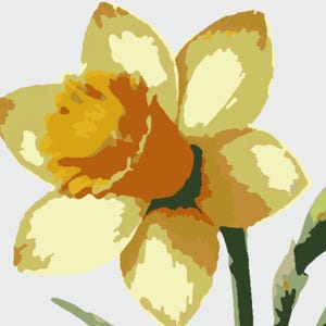 narcisi primaverili, dipingere con i numeri, download istantanei, tessuto, collage di carta. dipingere con i numeri festa, pittura fai da te, stampa a casa