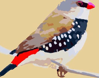 May include: A small bird with a brown, white, and black patterned body. The bird has a red beak and a red stripe on its chest. The bird is perched on a branch.