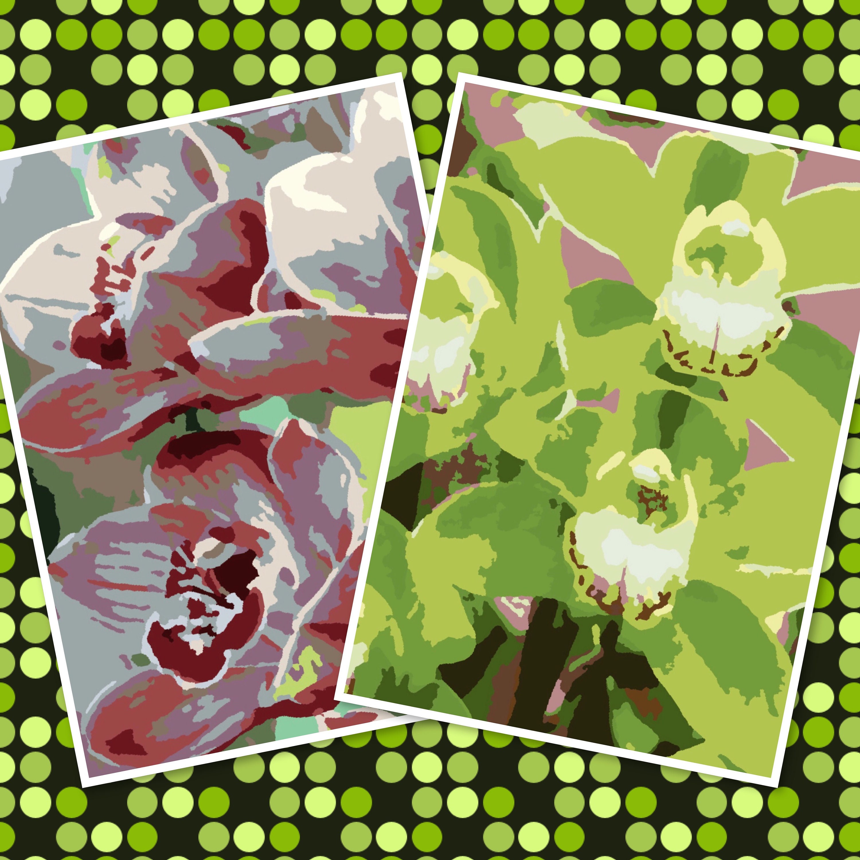 Two Orchids Paint by Numbers A4 Size Print on Home Printer Etsy