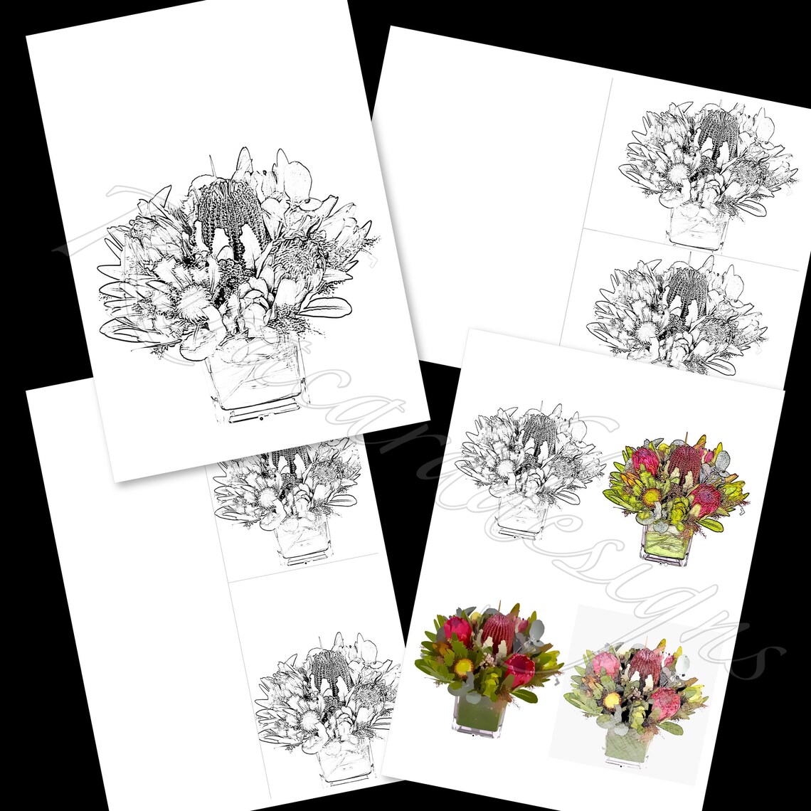 Colouring Page L Australian Native Plants L Original Art L - Etsy UK