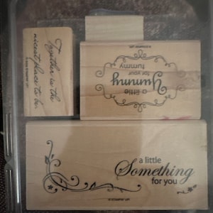 Stampin up yummy set of 3used once