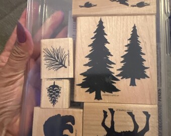 Stamp  up stamp set - definitely decorative pines set of 6, used once